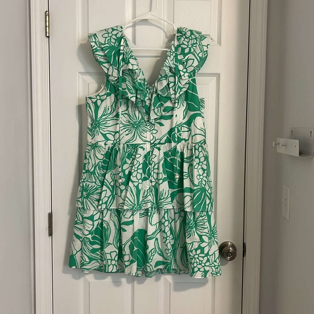 Lilly Pulitzer Dress - Picture 3 of 4
